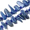 Natural Kyanite Beads Strands, Nuggets, 11~22x3~7x3~5mm, about 62pcs/strand, 15.55''(39.5cm)