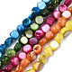 Natural Freshwater Shell Beads Strands SHEL-S276-110A-M-1