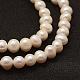 Natural Cultured Freshwater Pearl Beads Strands PEAR-F005-06-3
