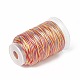 Cordon en fil de nylon teint par segment à 3 épaisseur NWIR-F011-01G-2