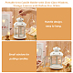 Portable Iron Candle Holder with Clear Glass Window AJEW-WH0299-85A-3