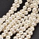 Shell Pearl Round Bead Strands BSHE-M011-01-1