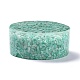 Resin with Natural Amazonite Chip Stones Ashtray DJEW-F015-01D-2