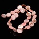 Natural Shell Beads Strands PBB251Y-6-2