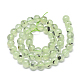Chapelets de perles en préhnite naturelle G-R446-10mm-16-2