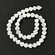 Fili di perle di conchiglia trochid naturale / trochus SHEL-F003-08A-5