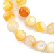Fili di perline di conchiglia giallo dorato naturale SSHEL-G024-01E-3