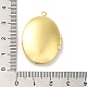 Acumular colgantes medallón de latón chapado KK-K277-03G-3