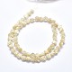 Chapelets de perles en coquille SSHEL-P015-01B-10mm-2