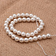 Polished Round Grade A Shell Pearl Bead Strands BSHE-M027-10mm-28-2