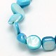 Dyed Natural Freshwater Shell Beads Strands SHEL-J003-05-3