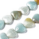 Fili di perline amazonite naturale G-N0326-71-1
