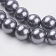Shell Pearl Beads Strands BSHE-K011-16mm-MA729-3