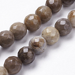 Natürliche Silberblatt Jaspis Perlen Stränge, Runde, facettiert, Sattelbraun, 8 mm, Bohrung: 1 mm, ca. 26 Stk. / Strang, 7.9 Zoll (20.3 cm)