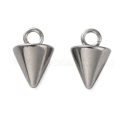 304 Stainless Steel Charms STAS-M323-30P