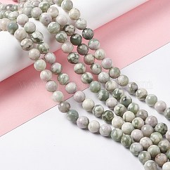Hebras de cuentas naturales de jade de paz, redondo, 8mm, agujero: 1.2 mm, aproximamente 46 pcs / cadena, 14.96 pulgada (38 cm)