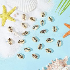 Бусины из ракушек с гальваническим покрытием&nbsp;BSHE-PH0003-22B