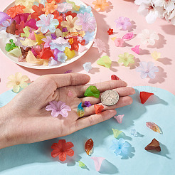 230pcs 6 Arten transparente Acrylperlen&nbsp;OACR-TA0004-39