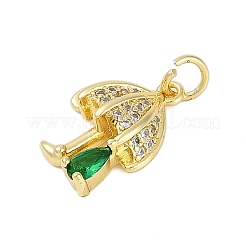 Porte micro ouvrent pendentifs zircone cubique en laiton de placage&nbsp;KK-R166-02G-06