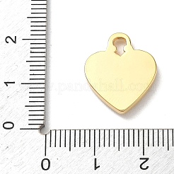 Anhänger aus spritzbedrucktem Edelstahl 304&nbsp;STAS-P453-11G-01