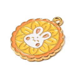Pendentifs d'émail en alliage&nbsp;AL-CBAF9DF-05A