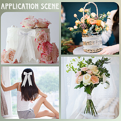 Полиэфирная лента&nbsp;OCOR-WH20013-005C