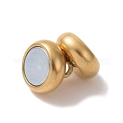 Ионное покрытие (ip) магнитные застежки из нержавеющей стали 304 с петлями STAS-P206-03G