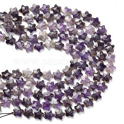 Natürlichen Amethyst Perlen Stränge&nbsp;G-L657-A08-01