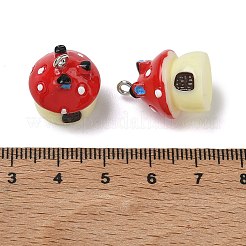 Pendentifs en résine opaque&nbsp;RE-G001-02