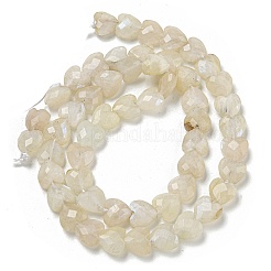 Бусины из натурального радужного лунного камня G-P544-E06-01