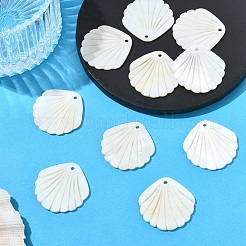 10 шт. подвески из резных натуральных пресноводных ракушек&nbsp;SHEL-YW0001-15