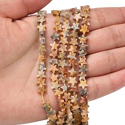 Природные сумасшедший агат бисер нитей&nbsp;G-F817-A05-01