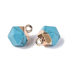 Pendentifs en turquoise synthétiques teints&nbsp;G-N359-18G-21
