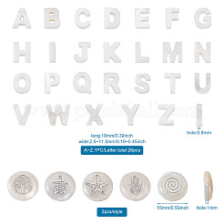 Бусины из натуральных пресноводных ракушек SHEL-TA0001-01