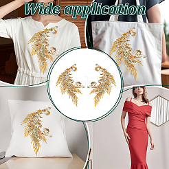 2 pièce 2 styles motif queue de phénix dentelle polyester broderie informatisée ornement accessoires&nbsp;DIY-NB0014-55A