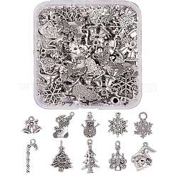 100 pcs 10 styles pendentifs en alliage de style tibétain&nbsp;TIBE-SZ0001-01AS