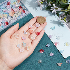 120 шт. 12 стеклянных колпачка для бусин&nbsp;GLAA-HY0001-20