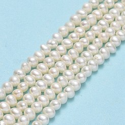 天然養殖淡水パールビーズ連売り  ポテト  ベージュ  3~3.5x4~4.5x3.5~4mm  穴：0.5mm  約113~114個/連  15.35~15.43インチ（39~39.2cm）&nbsp;PEAR-F018-06