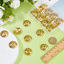 20 шт латунные крышки шарика&nbsp;FIND-FH0012-06G