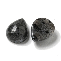 Natürliche Larvikit-Cabochons&nbsp;G-Q173-02C-05