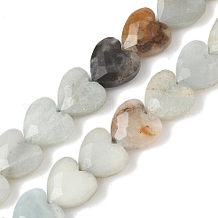 Натуральный цветок амазонитовые бусины пряди G-D316-B02