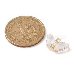 Прозрачные акриловые подвески PALLOY-JF02202