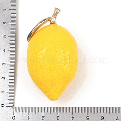 Große Anhänger aus Kunstharz mit Fruchtmotiven&nbsp;FIND-E053-01D-G