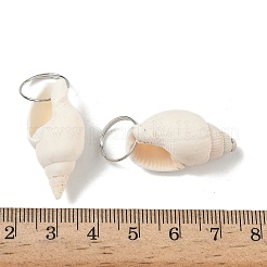 Natürliche Spirale Shell Anhänger&nbsp;SHEL-K006-68B