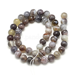 Chapelets de perles en agate naturelle du Botswana&nbsp;X-G-S150-24-8mm