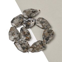 Нити из натуральных сиенитовых бусин G-P548-B26-01