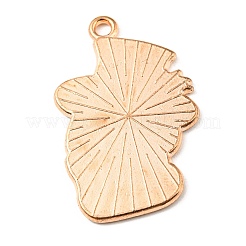 Подвески из эмали и сплава&nbsp;ENAM-G218-B08