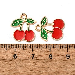 Подвески из эмалевой смеси с фруктами&nbsp;FIND-D304-03H-KCG