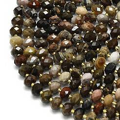 Природные окаменелое дерево бисер пряди G-P573-A32-01