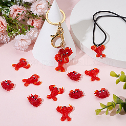 16шт 2 стиля ручной работы бусины лэмпворк&nbsp;LAMP-NB0002-23